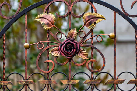 wrought-iron gates, ornamental forging, forged elements close-up.の写真素材