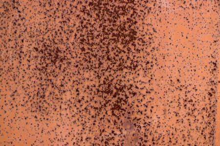 metal rust background , grunge rust background texture.