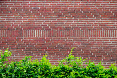 Grunge red brick wall background with copy space.の写真素材
