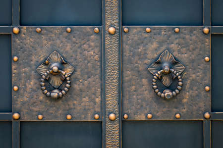 beautiful decorative metal elements forged wrought iron gates.