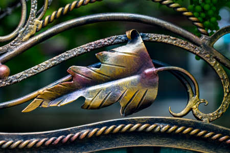 ornate wrought-iron elements of metal gate decoration.