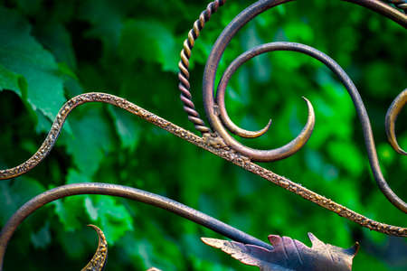 ornate wrought-iron elements of metal gate decoration.