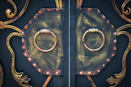 ornate wrought-iron elements of metal gate decoration.
