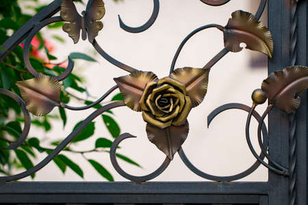 ornate wrought-iron elements of metal gate decoration.の写真素材