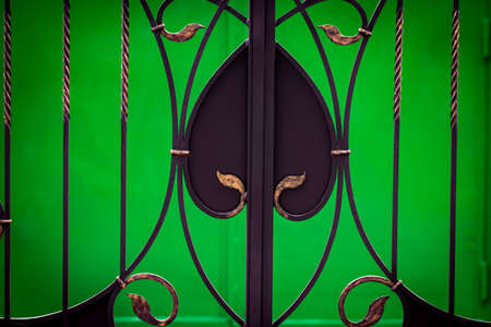 ornate wrought-iron elements of metal gate decoration.