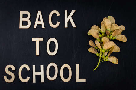 Back to school concept. Top view banner autumn dry leaves over classroom blackboard background.