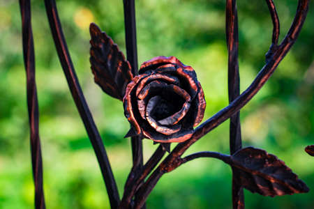 Details, structure and ornaments of forged iron gate. Decorative ornamen with roses, made from metal.の写真素材