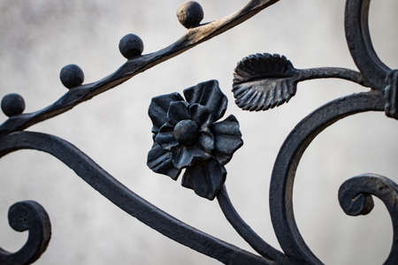 wrought-iron gates, ornamental forging, forged elements close-up.の写真素材