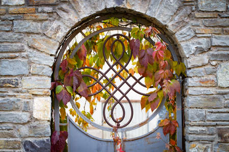 beautiful decorative metal elements forged wrought iron gates.の写真素材
