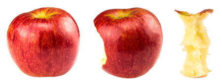 Red bitten apple and whole apple isolated on white.の写真素材
