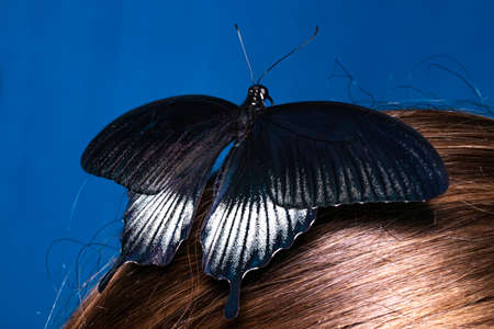 Beautiful woman with a butterfly in her hair.の写真素材