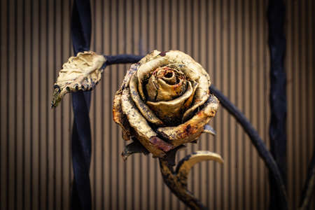 The fragment of forged metal products isolated on white background. close-up.の写真素材