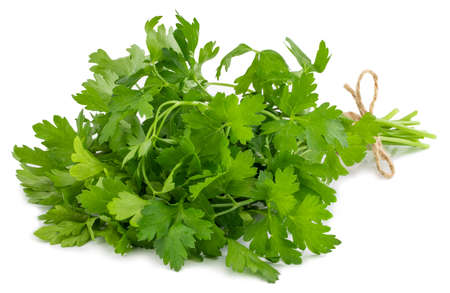 Bunch fresh parsley isolated on whiteの写真素材