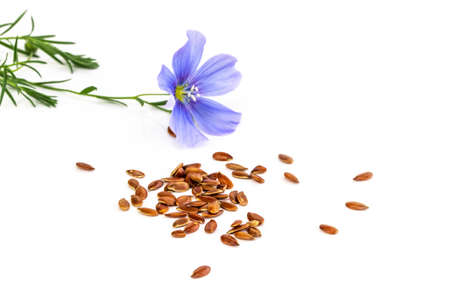 Flax seeds with flowers isolated on white background.