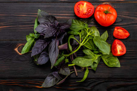 Basil leaves  and tomatoes on woodenの写真素材