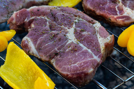 meat, steaks with grilled vegetables on the grill.