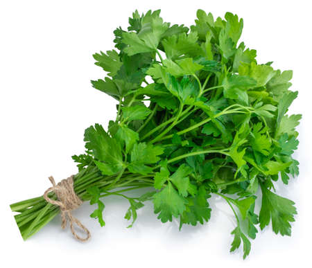 bunch fresh parsley isolated on white background.の写真素材