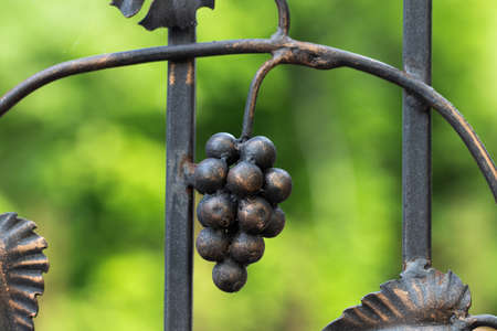 Forged bunch of grapes. Ornate wrought-iron elements of metal gate decoration.の写真素材