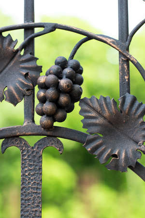Forged bunch of grapes. Ornate wrought-iron elements of metal gate decoration.の写真素材