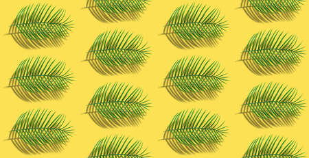 seamless pattern of green leaves of palm on yellow background.の写真素材