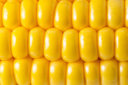 corn texture background. Corn grains close up.