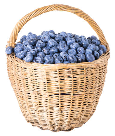 basket with blueberries isolated on white background.の写真素材