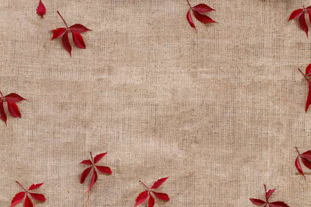 autumn red leaves on sack texture background.