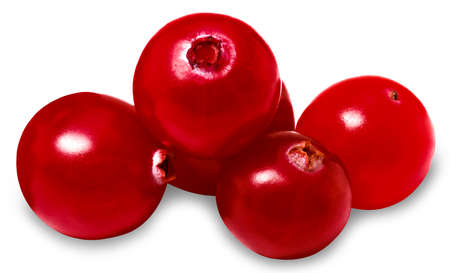 cranberry isolated on white background. Fresh cranberries with clipping path.の写真素材