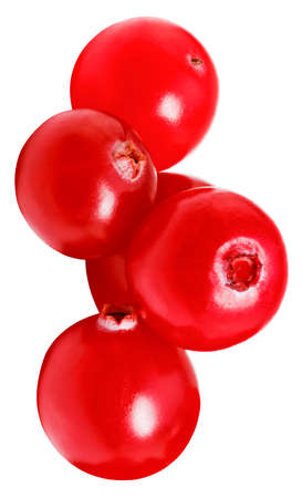 cranberry isolated on white background. Fresh cranberries with clipping path.の写真素材