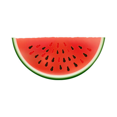 Slice of watermelon, summer fruit, vector iconのイラスト素材
