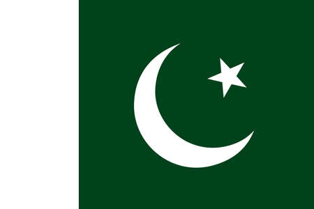 Flag of Pakistan. Vectorのイラスト素材