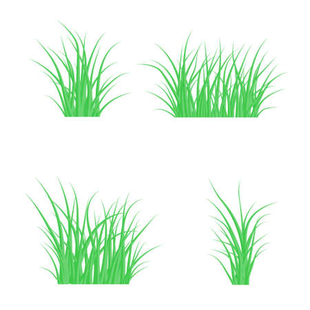 Set of Green grass, vector illustrationのイラスト素材