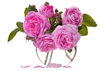 Fresh pink roses in vase isolated over white backgroundの写真素材
