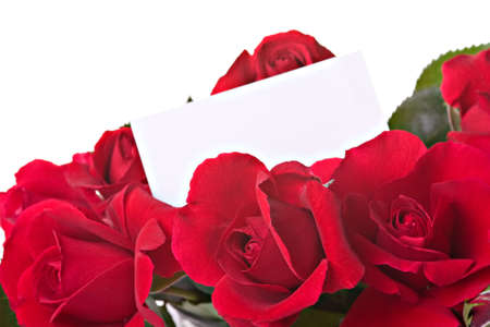Beautiful roses with a white card isolated over whiteの写真素材