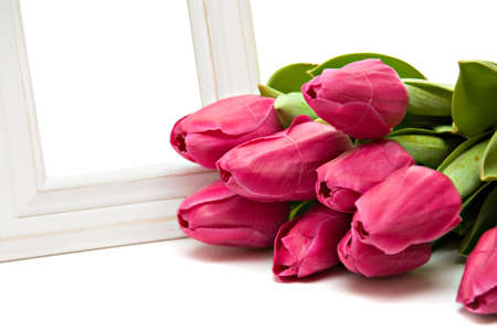 Picture frames and tulips flowers isolated over whiteの写真素材