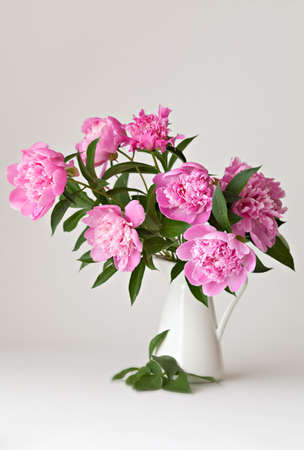 Bouquet of peonies blooms in vase on white backgroundの写真素材