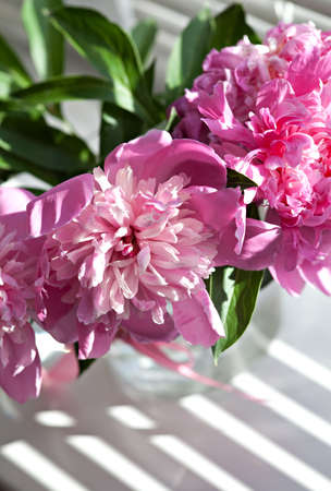 Bouquet of peonies blooms in vase at windowの写真素材