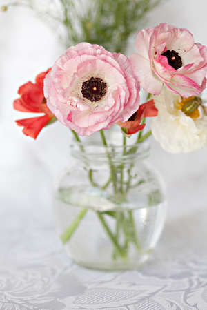 Ranunculus flowers in vaseの写真素材