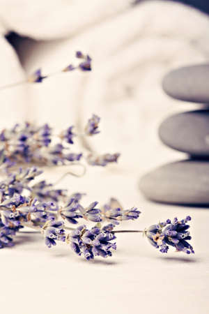 Spa theme. Lavender flowersの写真素材