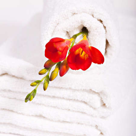 resources for spa, white towel and red fresia flowersの写真素材