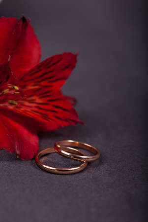 Wedding rings with red flower on dark backgroundの写真素材