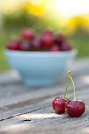 Sweet cherry fuits outdoorの写真素材