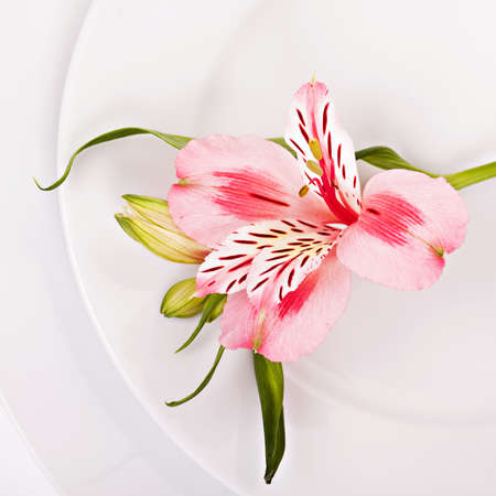 Spring decoration with pink alstromeria of a festive tableの写真素材