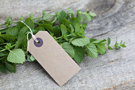 Fresh mint with blank tag on wooden backgroundの写真素材