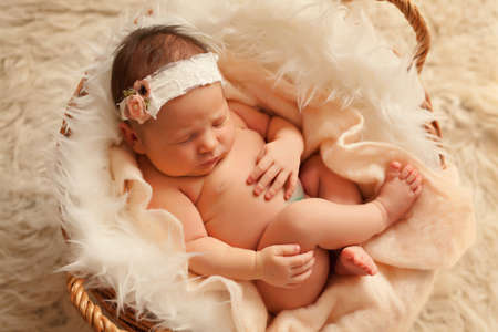 Newborn baby girl in basketの写真素材