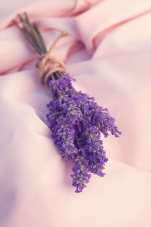 A bunch of fresh lavender on the clothの写真素材
