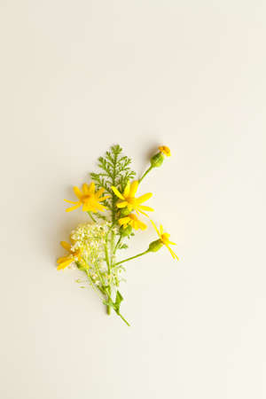 Wildflowers bouquet on white background. Top viewの写真素材