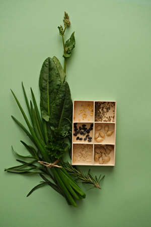 Vertical photo of a variety of seeds for planting in a wooden box and fresh herbs on a green...