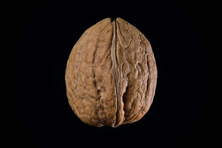 Detailed macro photo of walnutt isolated on black backgroundの写真素材