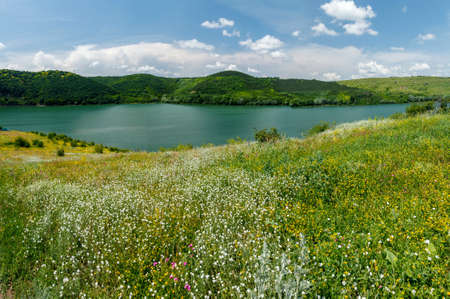 Green meadow with wild flowers on the banks of the river to the hillsの写真素材